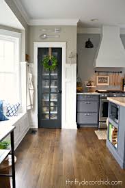 The Surprising Color Every Room Needs Kitchen Pantry Doors Kitchen Renovation Kitchen Design