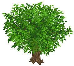 Gallery Recent Updates Tree Art Green Trees Clip Art