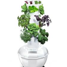 Indoor garden systems can really open up a lot of possibilities for gardeners. Shop For A Vertical Garden Aeroponics Accessories Tower Garden