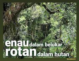 Wenn sie einen besseren preis finden, zahlen wir die differenz. Bajanas Nka Enau Dalam Belukar Rotan Dalam Hutan Enau Facebook