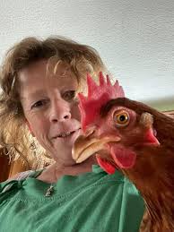 Blodwen now has chicks now looking for a Chicken run/enclosure to keep them  safe .