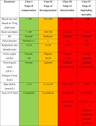 Image result for Hemorrhage Classification