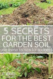 Gardening Methods Can Vary But One Thing That S Non Negotiable Is That A Vegetable Garden Nee Garden Soil Vegetable Garden Raised Beds Vegetable Garden Planner