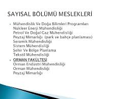 Meslekleri Taniyormuyuz Ppt Indir