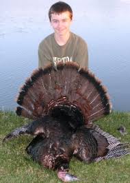 *free* shipping on qualifying offers. Youth Hunt For Wild Turkey Nys Dept Of Environmental Conservation