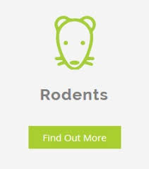 Homeadvisor's pest control cost guide gives average prices to hire a bug exterminator. Pest Types Allrid