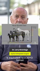 OG TVG headshots . . . . featuring: a baby, fresh out of journalism school  😂😂