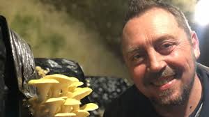 Découvrez le musée du champignon de Paris dans une ancienne  champignonnière, à Saumur