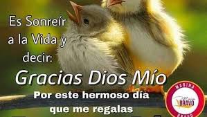 Axacolpatria Seguros S A Pagina Inicial Facebook