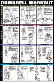 bodybuilding chest exercises chart hd images