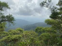 Mount jerai, formerly kedah peak, is a mountain in kedah, malaysia with the height of 3,854 feet. Gunung Jerai Via Merbok Trail Kedah Malaysia Alltrails