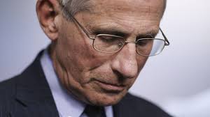 Director of the national institute of allergy and infectious diseases. Anthony Fauci Then And Now The New Yorker