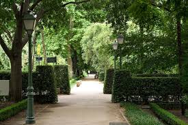 Real Jardin Botanico Csic Plaza De Murillo 2 Madrid 28014 Espana Real Jardin Botanico Jardin Botanico Lugares Para Ir