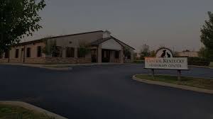 Specialist in companion animal neurology. Veterinarian In Georgetown Near You Central Kentucky Veterinary Center