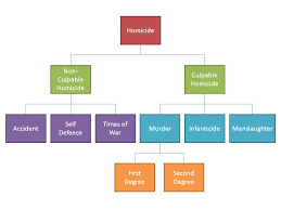 391261189-Quamto-Criminal-Procedure-Finals.Pdf