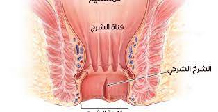 صور فتحة الشرج