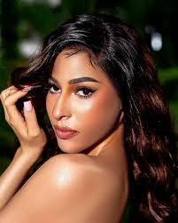 Nigerian Beauty Pageant Representatives