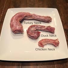 Can Dogs Eat Turkey Necks Raw Chicken Turkey Duck Necks