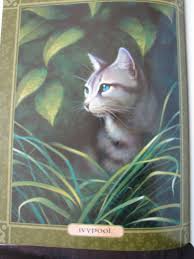 The warriors movie is the working title for the upcoming live action cgi animated movie based on the series. The Warrior Cats Series By Erin Hunter Cat Opedia