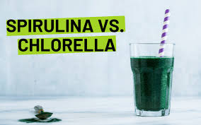 spirulina vs chlorella everything you need to know freshcap mushrooms spirulina vs chlorella everything you
