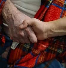 Elisa Pace님의 프로필