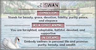 What Do Swans Symbolize Swan Is A Symbol Of Grace Beauty Devotion Love Fidelity Purity Peace Partners Spirit Animal Meaning Swan Meaning Animal Meanings