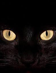 Lihat ide lainnya tentang gambar anime, gambar, animasi. Wallpaper Hd Gambar Hitam Putih Keren Hd Wallpaper Hd Gambar Hitam Putih Keren Hdhttp Kumpulangambarhade Blogspot Kucing Hitam Wallpaper Kucing Wallpaper Hd