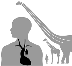 We did not find results for: Which Is The Longest Animal Cell Quora