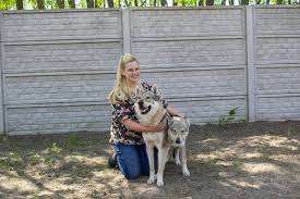 Katinka hosszu was born istvan hosszu and barbara bakos. Kutyapanzio Nyilt Bajan Amve Hu