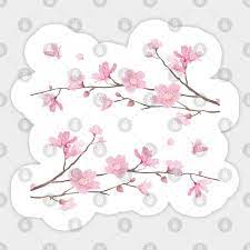 How to use branches and stems as holiday decor. Cherry Blossom Branches Transparent Background Cherry Blossoms Aufkleber Teepublic De