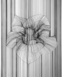 Repost Aartfinesse Titled Bloom I Wanted To Do This Using Horizontal Lines But My Art Instincts Was Te Elements Of Art Line Line Art Design Elements Of Art