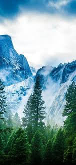 Nature Iphone 8 Wallpaper Iphone 8 Plus Wallpapers 4k Nature 1125x2436 Download Hd Wallpaper Wallpapertip
