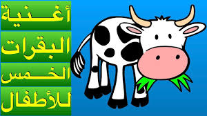 أغنية البقرات الخمس للأطفال Five Cow Song Arabic Youtube