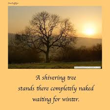 Haiku Shivering Tree Haiku Poems Haiku Poetry Haiku