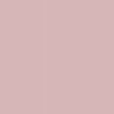 20+ background warna hijau polos. Siti Amanda Rojanah463 Profil Pinterest