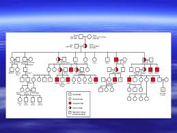 pedigree charts the family tree of genetics overview i what