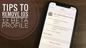 Can someone please post how to opt out and stop getting developer betas for ios 11? Question How To Uninstall Ios 12 Beta Os Today