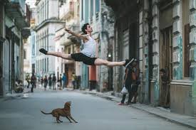 Resultado de imagen para lois greenfield
