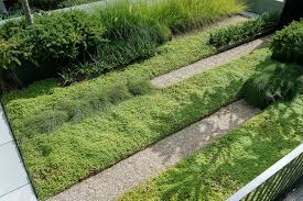 Pin On Gardens