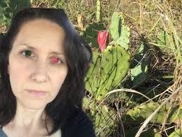 Grilling a prickly pear cactus pad harvested from my neighbor's front yard. Prickly Pear Cactus Wild Edible How To Cook And Eat Bushcraft Food Youtube