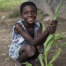 The city was the capital of the kingdom of zimbabwe, which was a shona (bantu) trading empire.zimbabwe means stone houses in shona. Help Children In Zimbabwe Save The Children