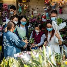 Www.heraeus.com west of huaihai road, junan county, shandong province, p.r. Hong Kong S Lesson Defeating Covid 19 Demands Persistence Stat