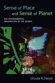 Buy Sense Of Place And Sense Of Planet The Environmental Imagination Of The Global Book Online At Low Prices In India Sense Of Place And Sense Of Planet The Environmental Imagination