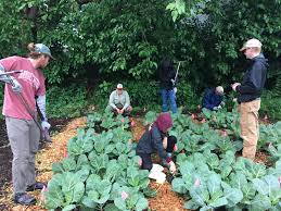 What is a community garden definition. Community Gardens Soil Science Society Of America