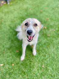 What is this little cupcake that moves?