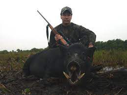 How to hunt florida hogs at early morning or early evening. Florida Wild Boar Hunting Florida Hog Hunting Okeechobee
