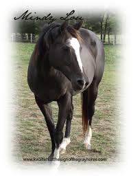 K. Walters at the Sign of the Gray Horse: The Horses