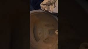 Image result for no rev12 consepcion Iris