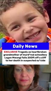 Logan Goodman Accident