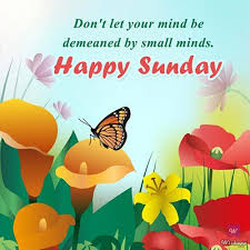 Wishapp Wishes Happy Sunday Wedding Day Wishes Wedding Day Meme Card Box Wedding